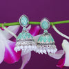 Sukkhi Ethnic Oxidised Mint Collection Pearl Jhumki Earring For Women