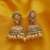 Sukkhi Graceful Oxidised Mint Collection Pearl Jhumki Earring For Women