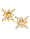 ShoStopper Marvellous Gold Plated Earring SJ6099EN